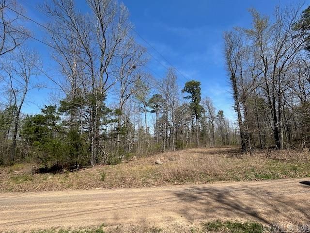 114 Coyote Canyon Road, Shirley, AR 72153