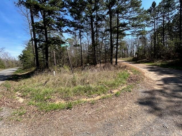 114 Coyote Canyon Road, Shirley, AR 72153