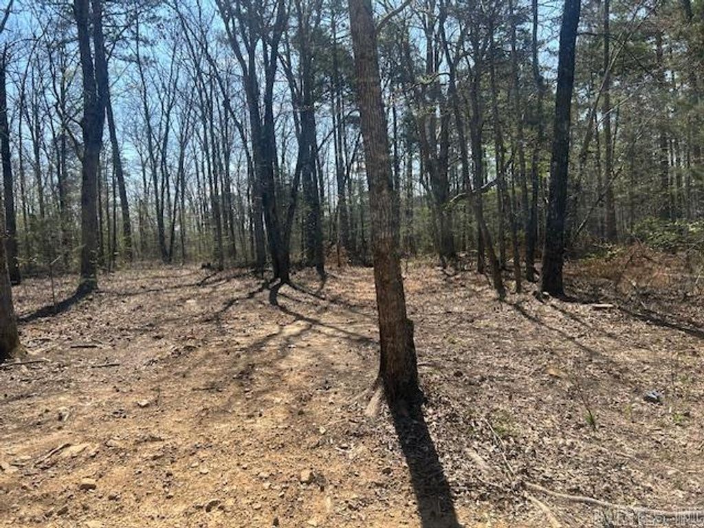 114 Coyote Canyon Road, Shirley, AR 72153