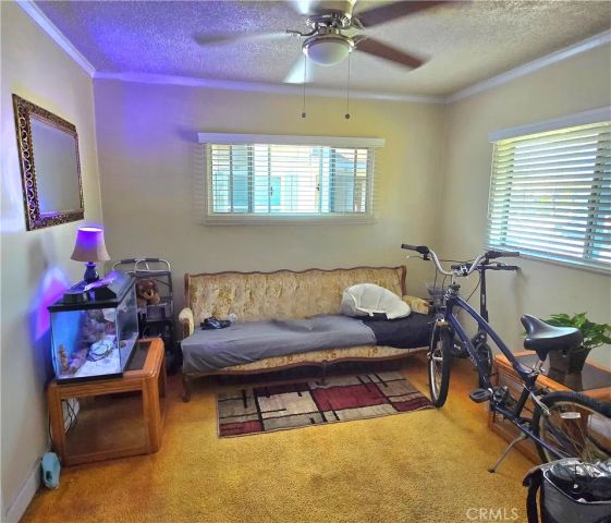 3667 Cimarron, Los Angeles, CA 90018