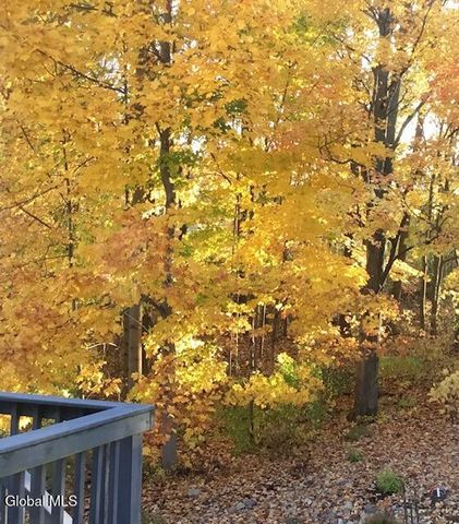 92 Cooks Court, Halfmoon, NY 12188