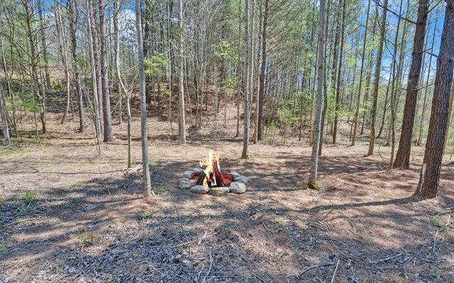313 Burger Road, Murphy, NC 28906