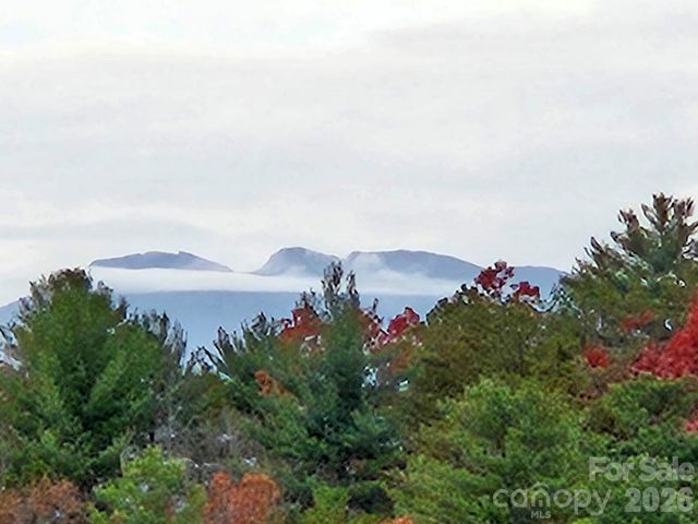 5564 Table View Lane, Lenoir, NC 28645