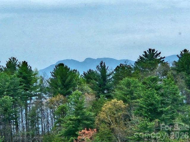 5564 Table View Lane, Lenoir, NC 28645