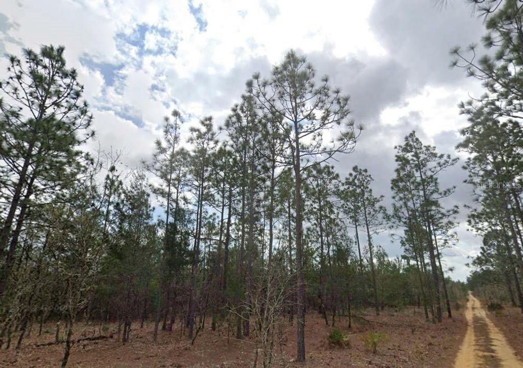 LIME WAY, Interlachen, FL 32148