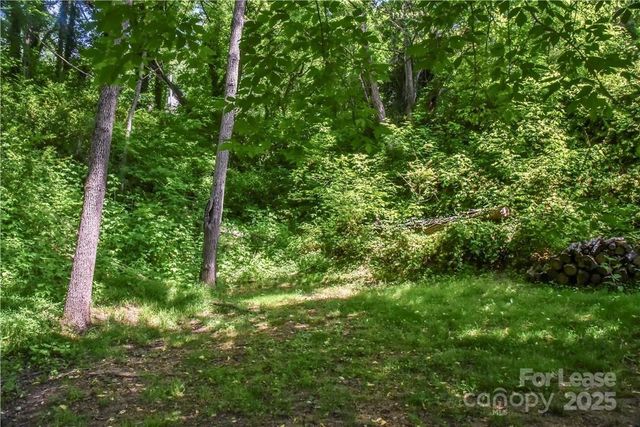 543 College Street, Asheville, NC 28801