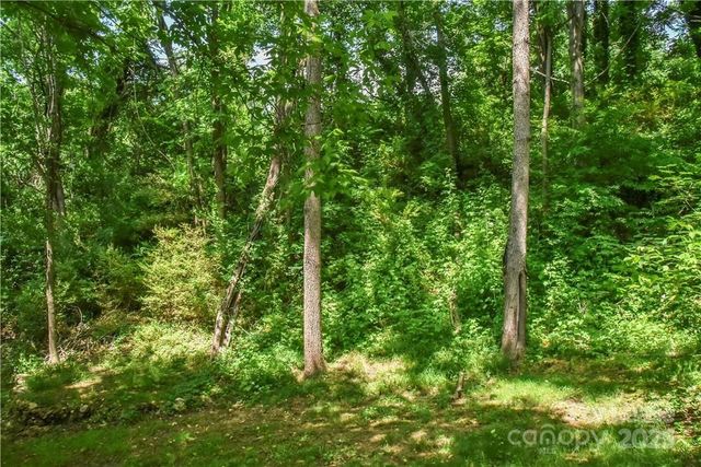 543 College Street, Asheville, NC 28801