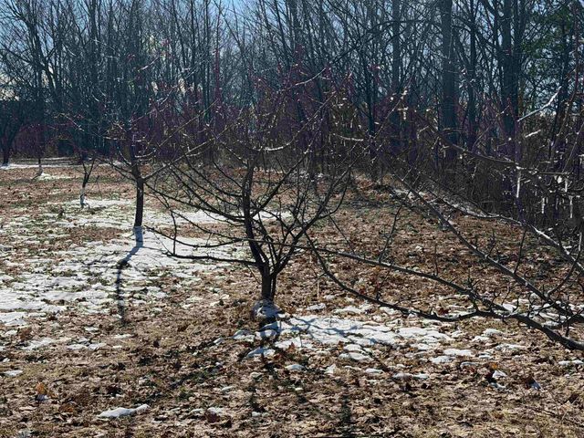 0 Center Road, Peninsula Twp, MI 49686