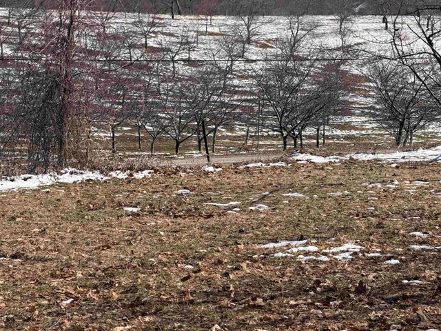 0 Center Road, Peninsula Twp, MI 49686