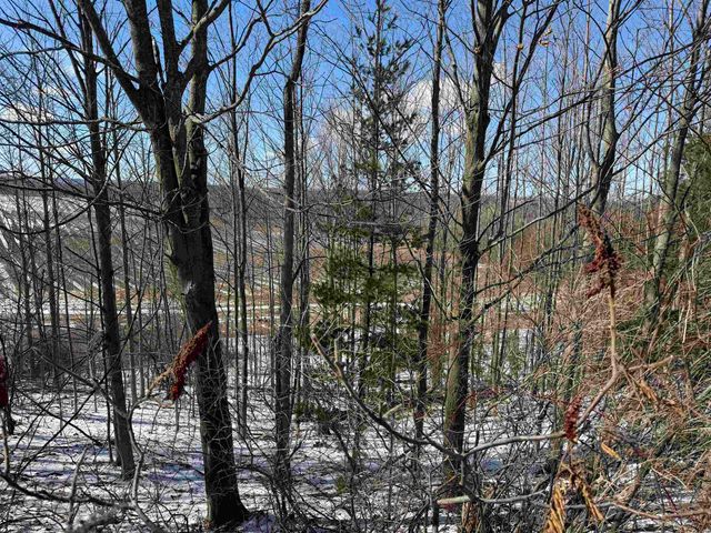 0 Center Road, Peninsula Twp, MI 49686