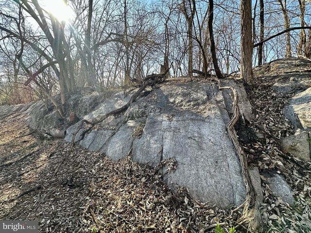 1336 OLD WINCHESTER RD, Boyce, VA 22620