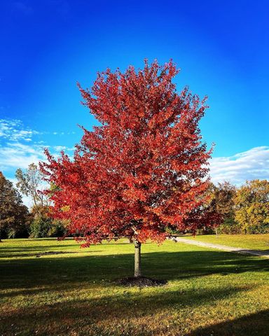 19150 West Darby Road, Marysville, OH 43040