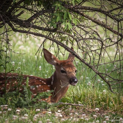 19150 West Darby Road, Marysville, OH 43040