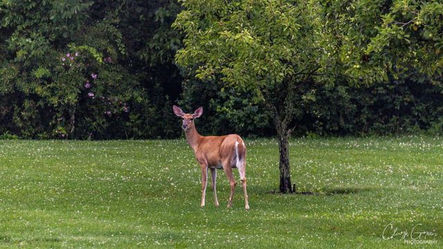 19150 West Darby Road, Marysville, OH 43040