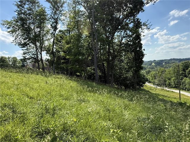 Lots 206 and 208 Old Woods Drive, Peters Twp, PA 15317