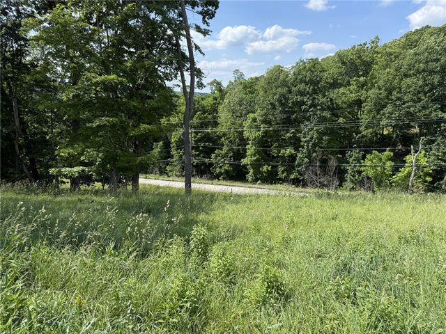 Lots 206 and 208 Old Woods Drive, Peters Twp, PA 15317
