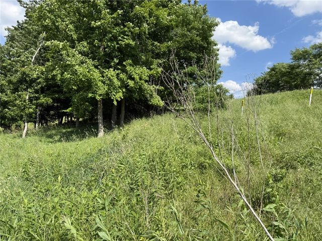 Lots 206 and 208 Old Woods Drive, Peters Twp, PA 15317