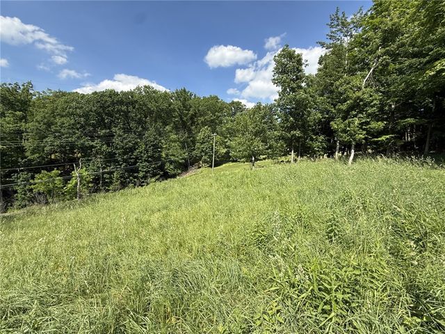 Lots 206 and 208 Old Woods Drive, Peters Twp, PA 15317