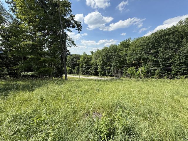 Lots 206 and 208 Old Woods Drive, Peters Twp, PA 15317