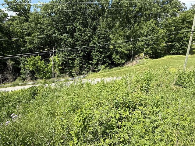 Lots 206 and 208 Old Woods Drive, Peters Twp, PA 15317