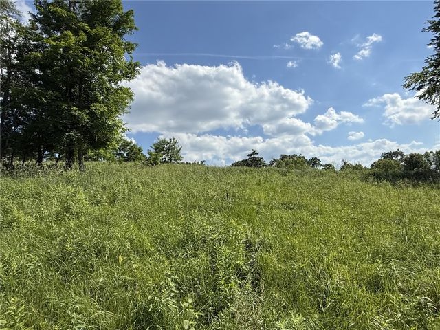 Lots 206 and 208 Old Woods Drive, Peters Twp, PA 15317