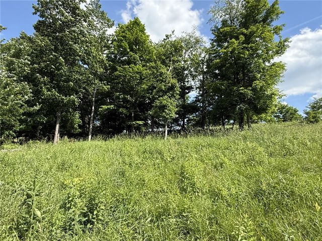 Lots 206 and 208 Old Woods Drive, Peters Twp, PA 15317