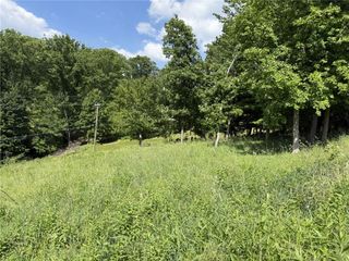 Lots 206 and 208 Old Woods Drive, Peters Twp, PA 15317