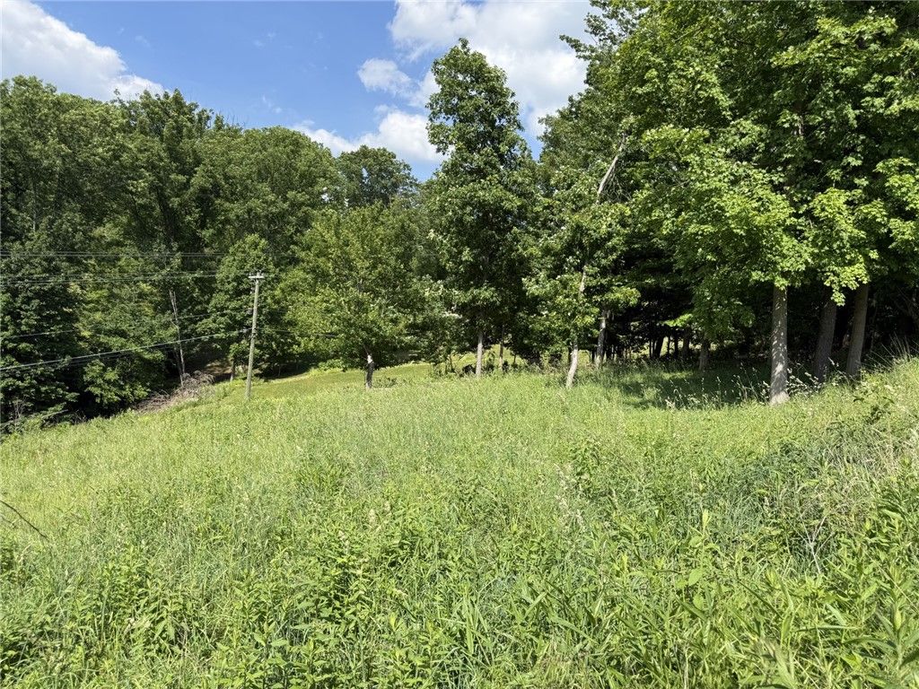 Lots 206 and 208 Old Woods Drive, Peters Twp, PA 15317