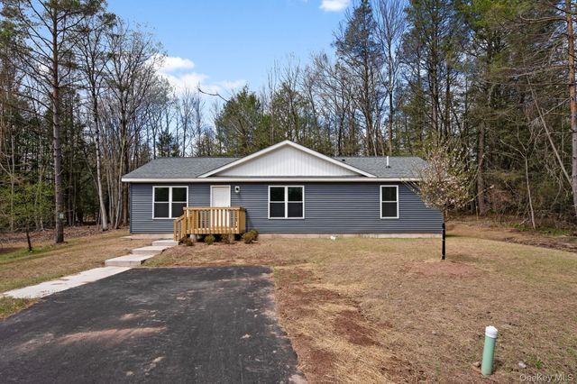 43 Pinehurst Drive E, Liberty, NY 12754