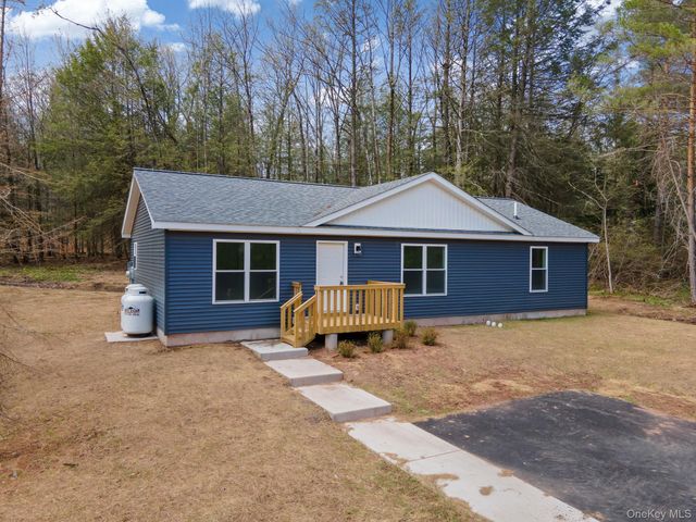 43 Pinehurst Drive E, Liberty, NY 12754