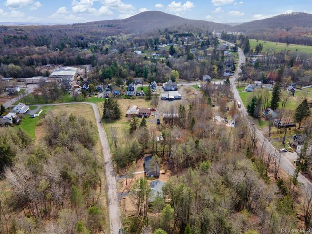 43 Pinehurst Drive E, Liberty, NY 12754