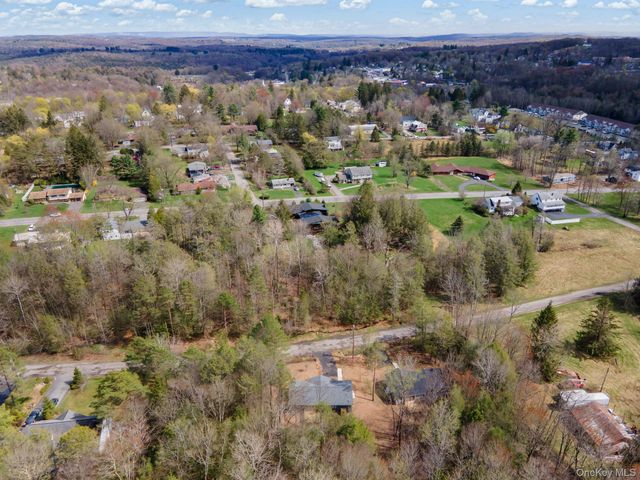 43 Pinehurst Drive E, Liberty, NY 12754