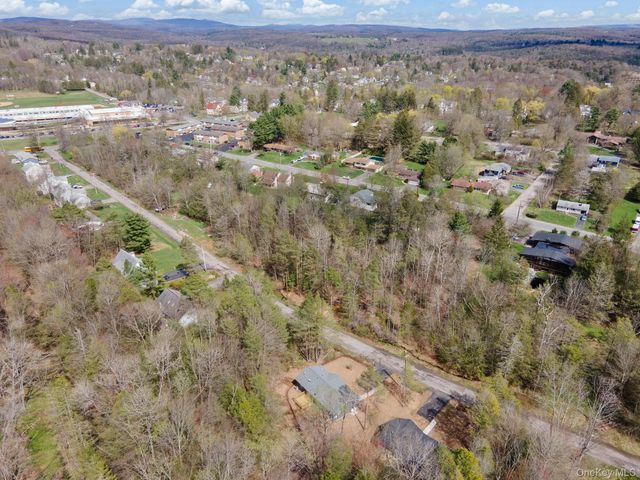 43 Pinehurst Drive E, Liberty, NY 12754