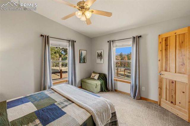 738 Rangeview Road, Divide, CO 80814