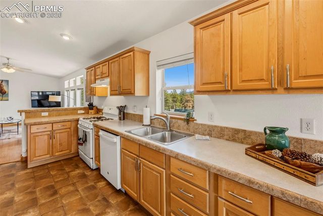 738 Rangeview Road, Divide, CO 80814