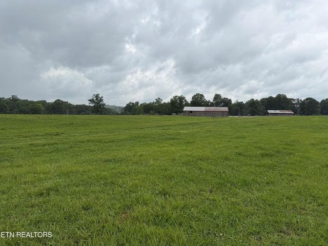 1041 Walt Reed Rd, Grandview, TN 37337