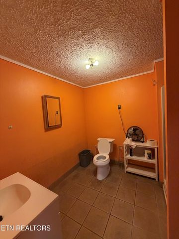 1041 Walt Reed Rd, Grandview, TN 37337