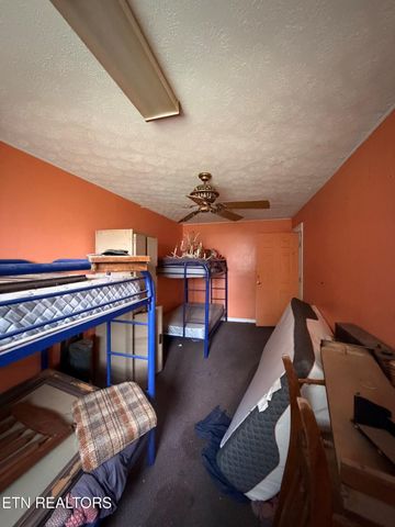1041 Walt Reed Rd, Grandview, TN 37337