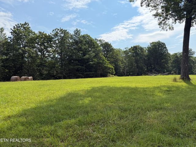 1041 Walt Reed Rd, Grandview, TN 37337