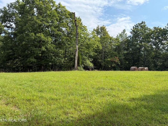 1041 Walt Reed Rd, Grandview, TN 37337