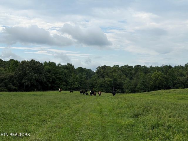 1041 Walt Reed Rd, Grandview, TN 37337