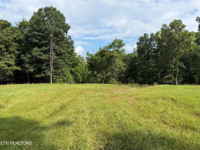 1041 Walt Reed Rd, Grandview, TN 37337