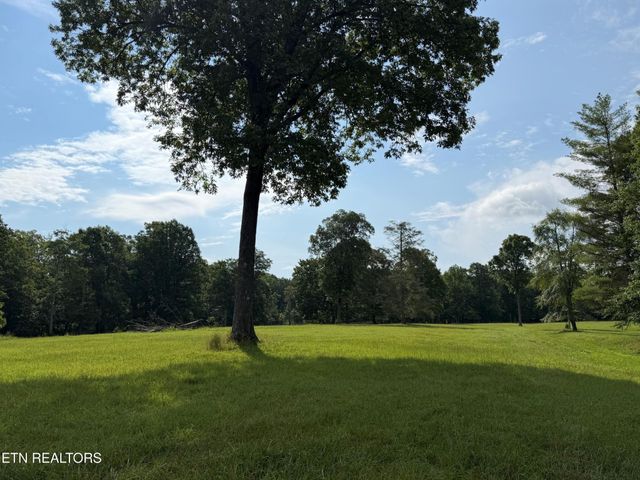 1041 Walt Reed Rd, Grandview, TN 37337