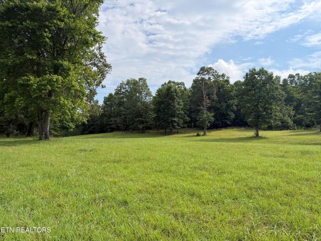 1041 Walt Reed Rd, Grandview, TN 37337