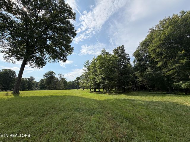 1041 Walt Reed Rd, Grandview, TN 37337