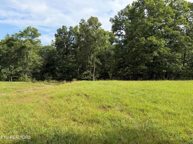 1041 Walt Reed Rd, Grandview, TN 37337