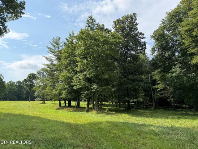 1041 Walt Reed Rd, Grandview, TN 37337