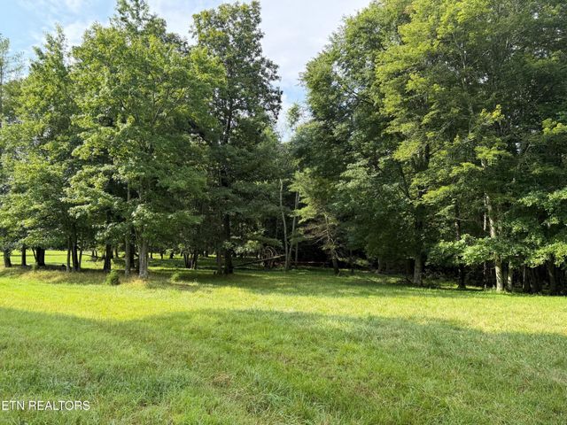 1041 Walt Reed Rd, Grandview, TN 37337