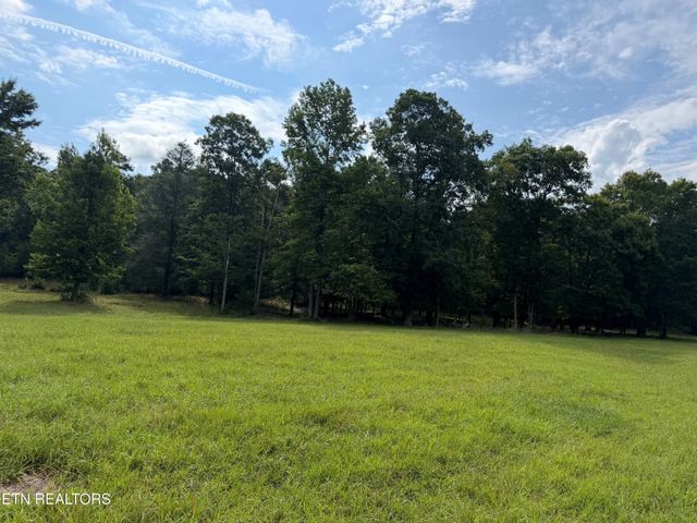 1041 Walt Reed Rd, Grandview, TN 37337