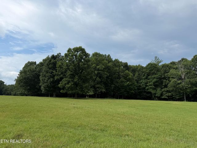 1041 Walt Reed Rd, Grandview, TN 37337